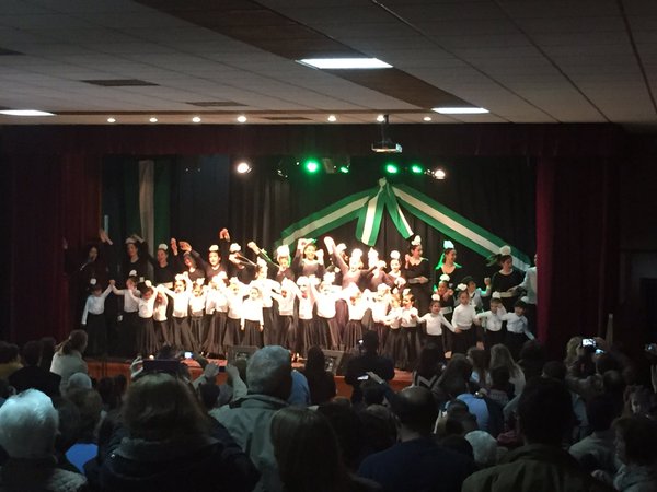 dia andalucia casariche