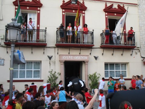 TXUPI (7)